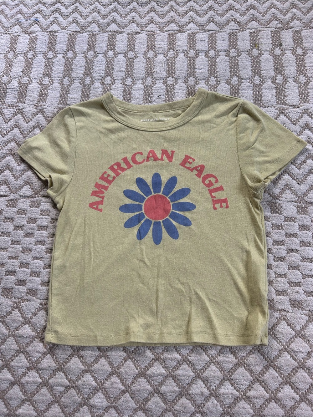 American Eagle Outfitters Light Green Tee with Red Logo & Blue Daisy